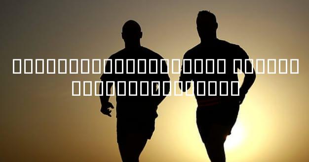 ���������ʻ��������� ��������